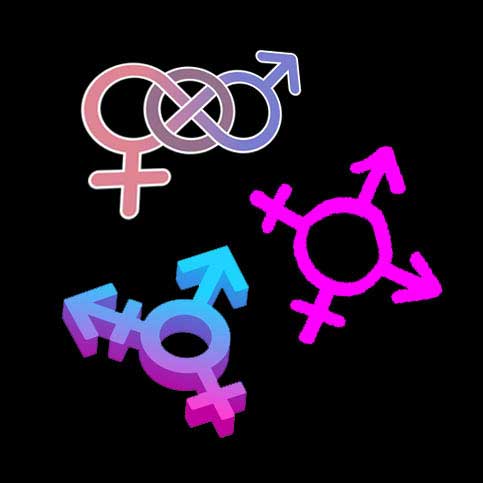 دوجنس‌گراها، تراجنسی‌ها و دوجنسی‌ها